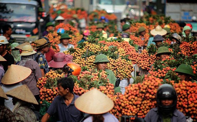 Việt Nam xuất khẩu vaỉ-nhãn đứng hàng thứ nhì thế giới