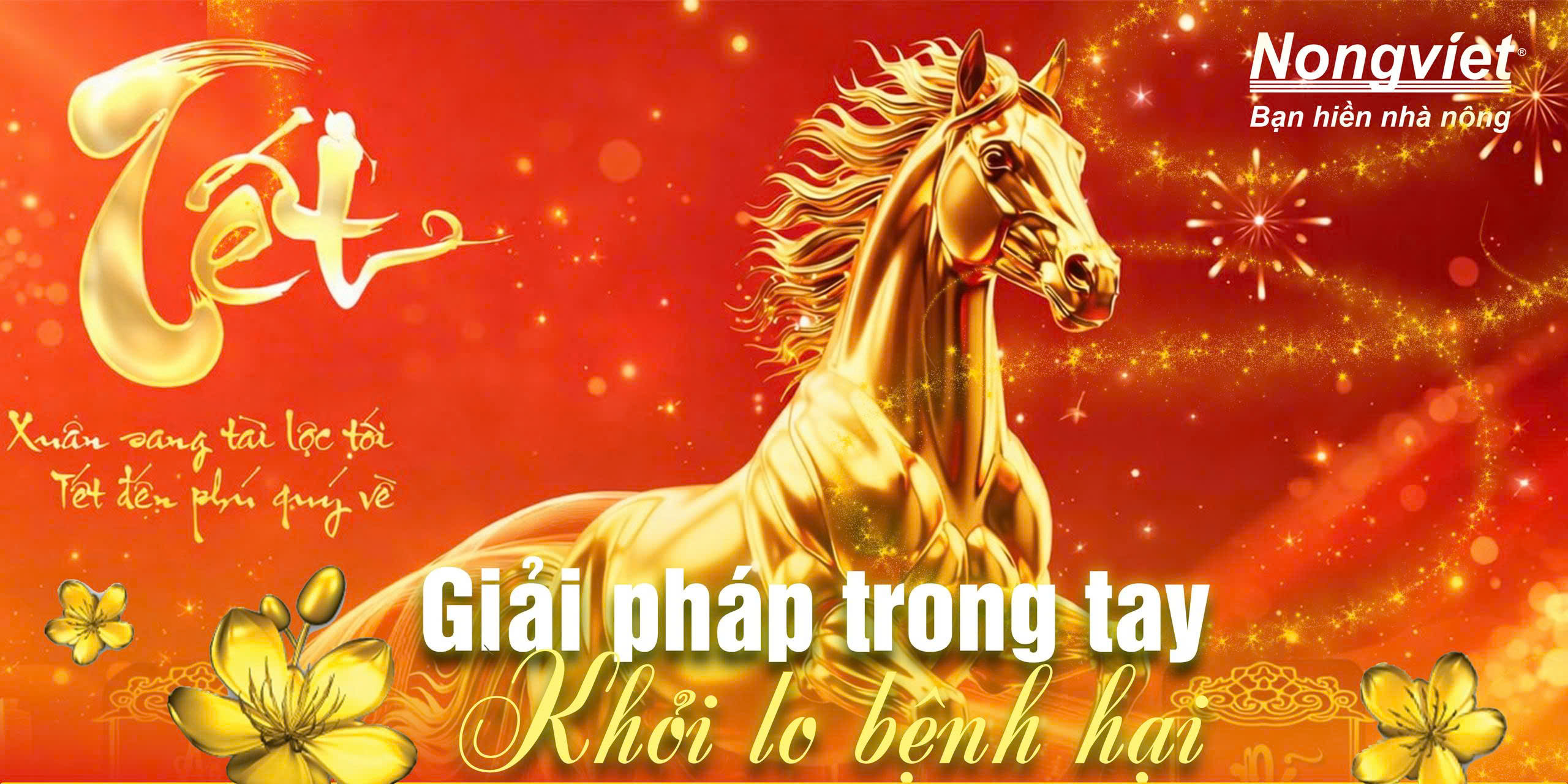 giai-phap-phong-tru-benh-hai-cat-tuong-phat-tai