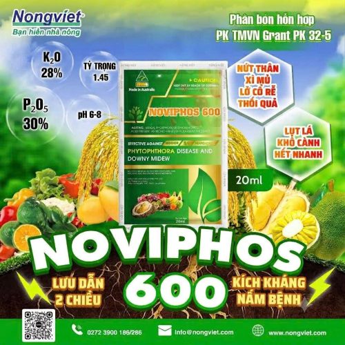 NOVIPHOS 600 (20ml)